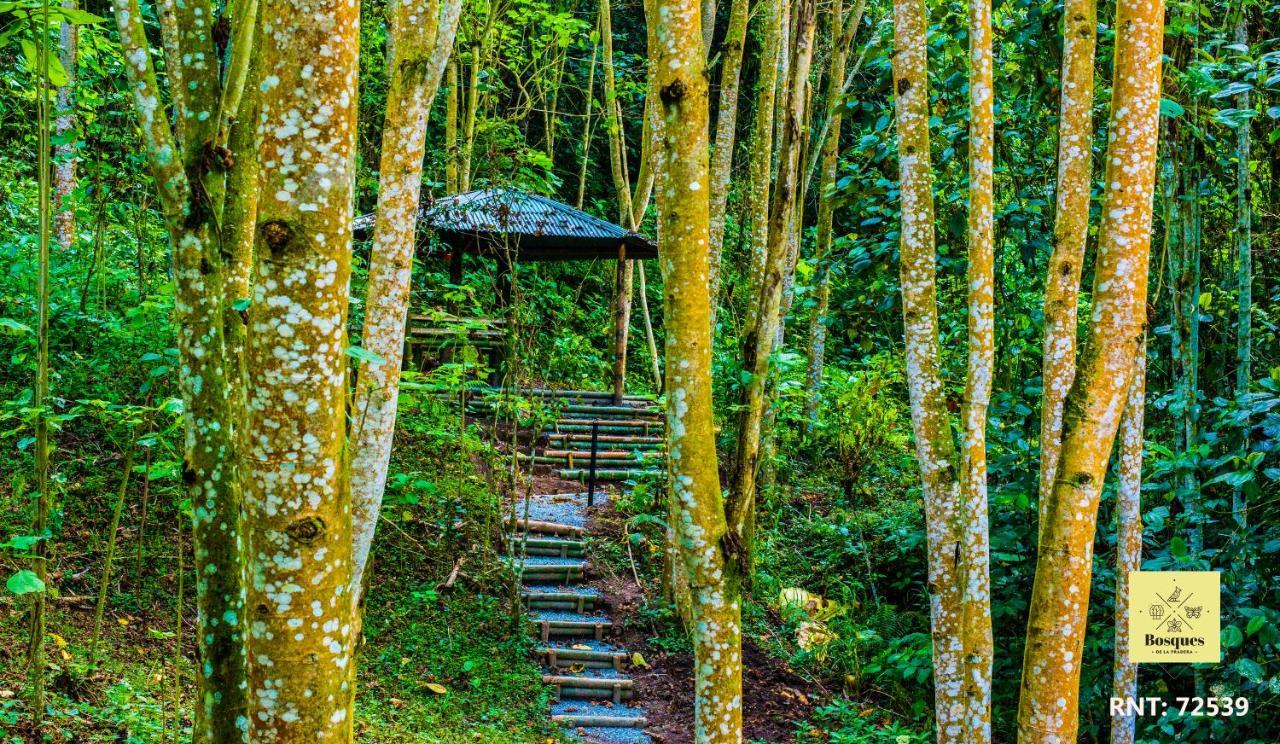 Bosques De La Pradera Hotel La Linda Eksteriør billede